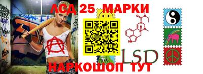 Альфа ПВП Кандалакша