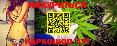 сатива Котовск