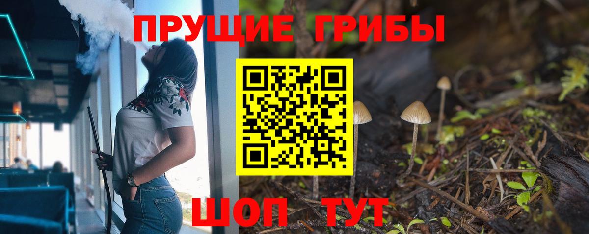 Псилоцибиновые грибы Psilocybine cubensis Лесной