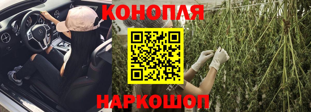 Лесной  Канабис семена  Конопля Amnesia  Вход с VPN  Конопля планчик 